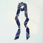 Paisley Print Skinny Narrow Neck Ribbon Scarf