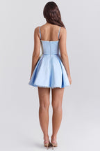 Satin Sweetheart Lace Trim Tulle Mini Dress
