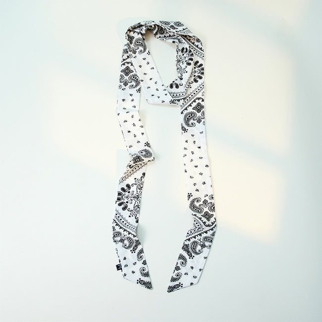 Paisley Print Skinny Narrow Neck Ribbon Scarf Main image