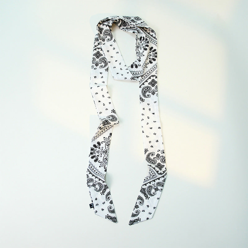 Paisley Print Skinny Narrow Neck Ribbon Scarf Main image