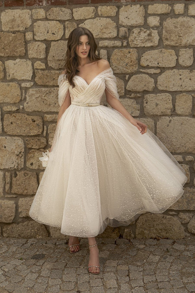 Elegant V-Neck Raglan Sleeve Midi Party Dress Main image