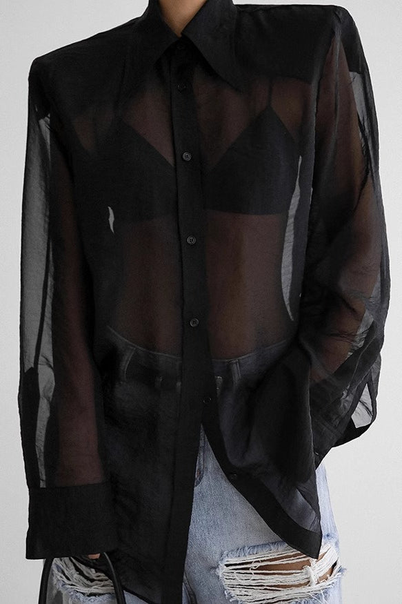 Elegant Sheer Long Sleeve Blouse Main image