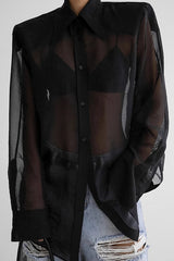 Elegant Sheer Long Sleeve Blouse