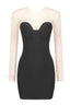 Aarohi Crystal Stylish Mesh Mini Dress XS / Black