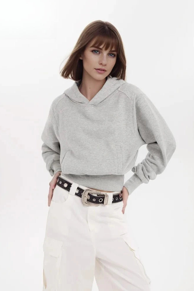 Minimalist Solid Color Cotton Hooded Hoodie Grey / M Main image