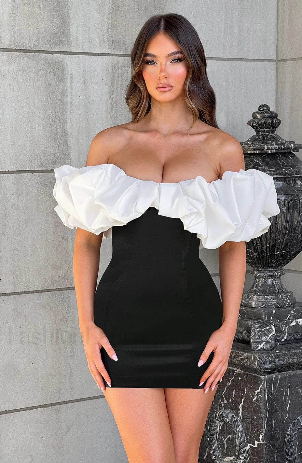 Allie Mini Graceful Dress Black/White Dress