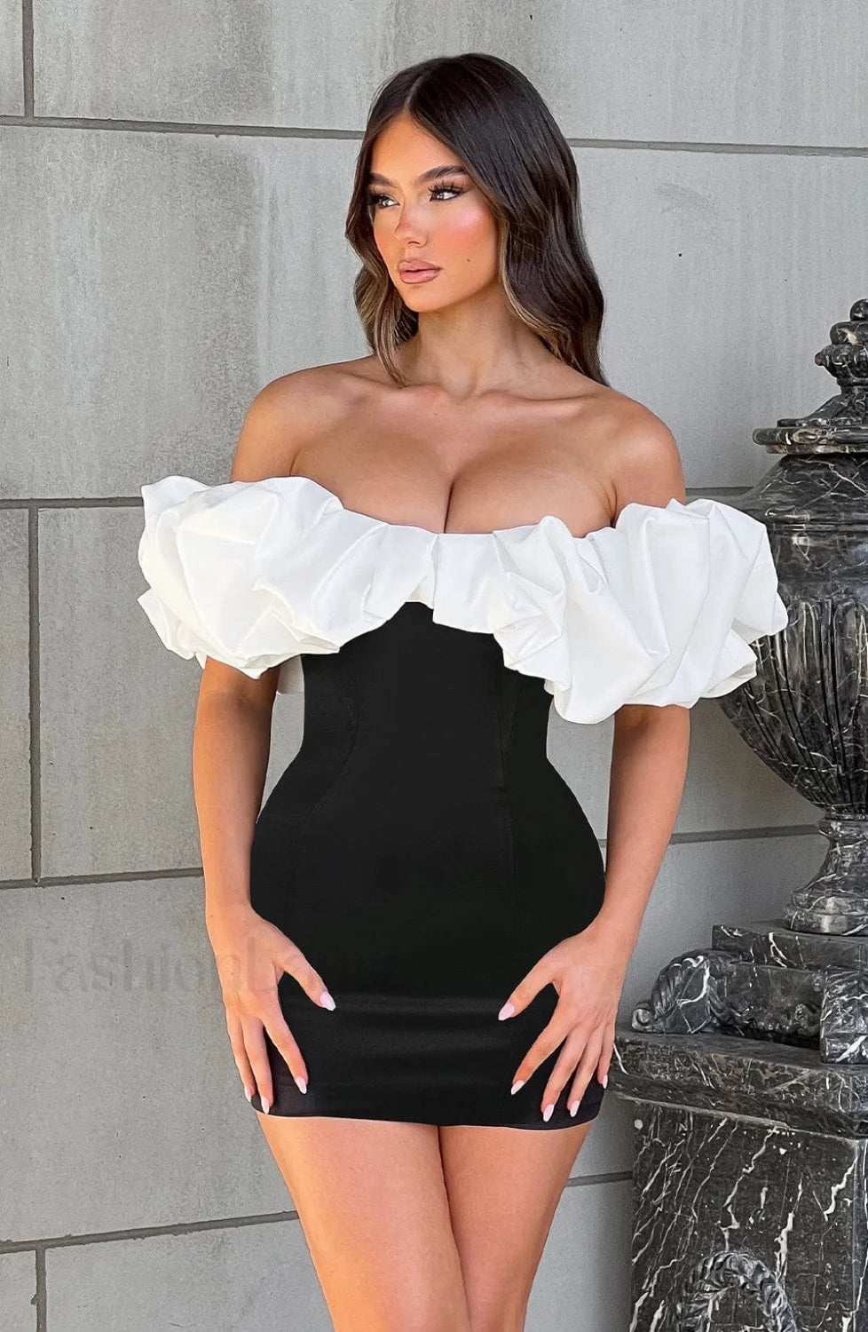 Allie Mini Graceful Dress Black/White Dress