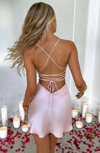 Avril Mini Graceful Dress Blush Dress