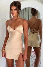 Avril Mini Graceful Dress Champagne Dress
