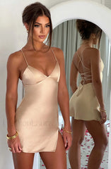 Avril Mini Graceful Dress Champagne Dress