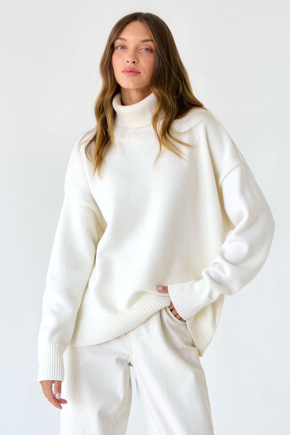 Basic Solid Knit Turtleneck Sweater White / S