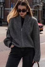 Minimalist Solid Color Double Zipper Stand Collar Sweater