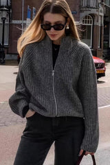 Minimalist Solid Color Double Zipper Stand Collar Sweater