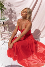 Cindy Tulle Stylish Midi Dress