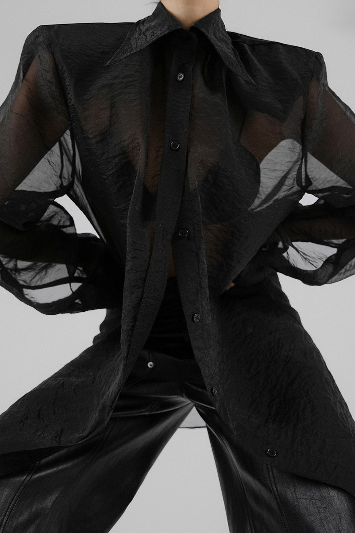 Sheer Mesh Long Sleeve Shoulder Pad Blouse Secondary image