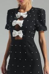 Bow Detail Paneled Mini Dress