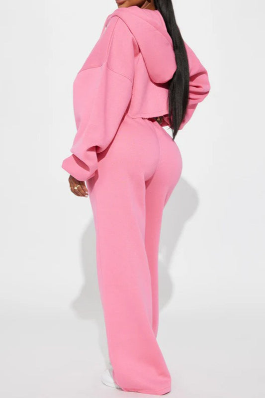 Cropped Zip Sweatshirt Two Piece Set