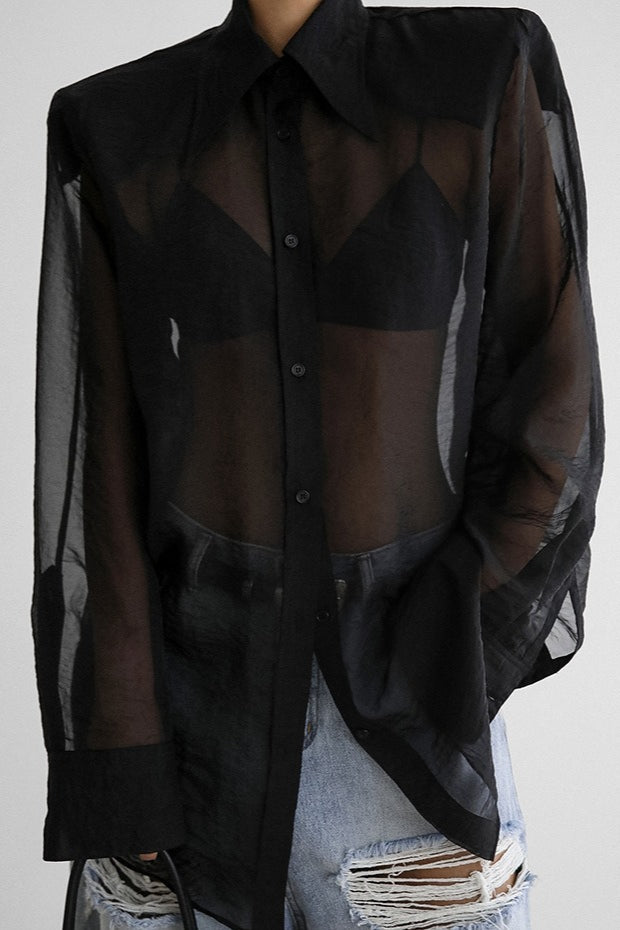 Sheer Mesh Long Sleeve Shoulder Pad Blouse Main image