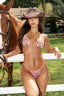 Retro Striped Print Triangle Tie Bikini Set