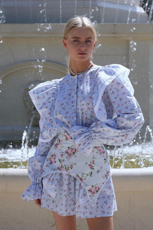 Romantic Ruffled Long Sleeve Mini Floral Dress Main image