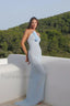 Mesh Halter Floral Backless Maxi Dress Blue / XS