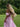 Off-Shoulder Slit Floral Dress Secondary image