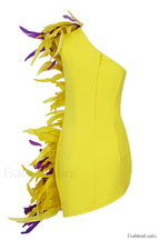 Paislee Asymmetric Stylish Feather Mini Dress