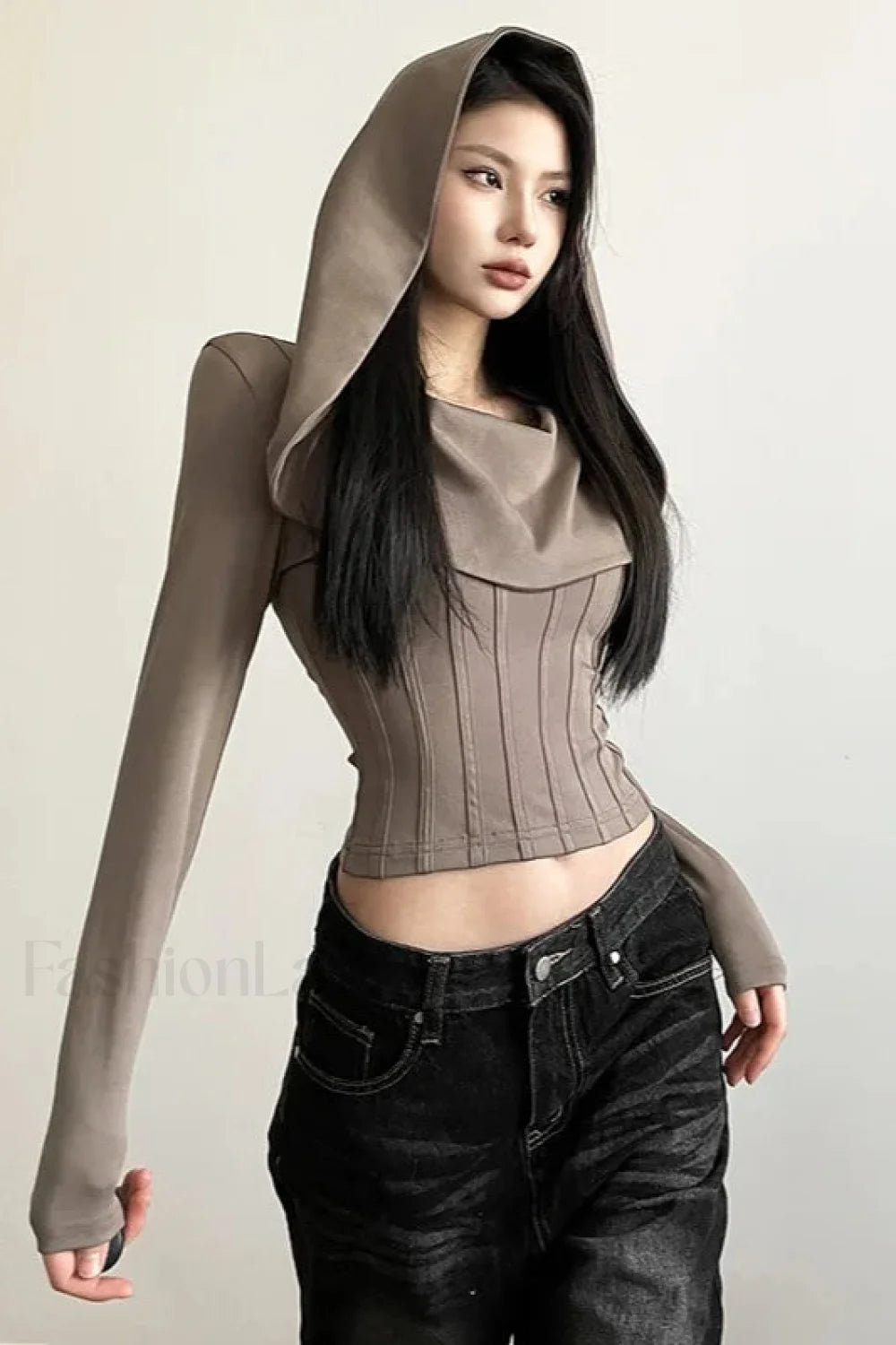 Y2K Streetwear Hooded Crop Hoodie