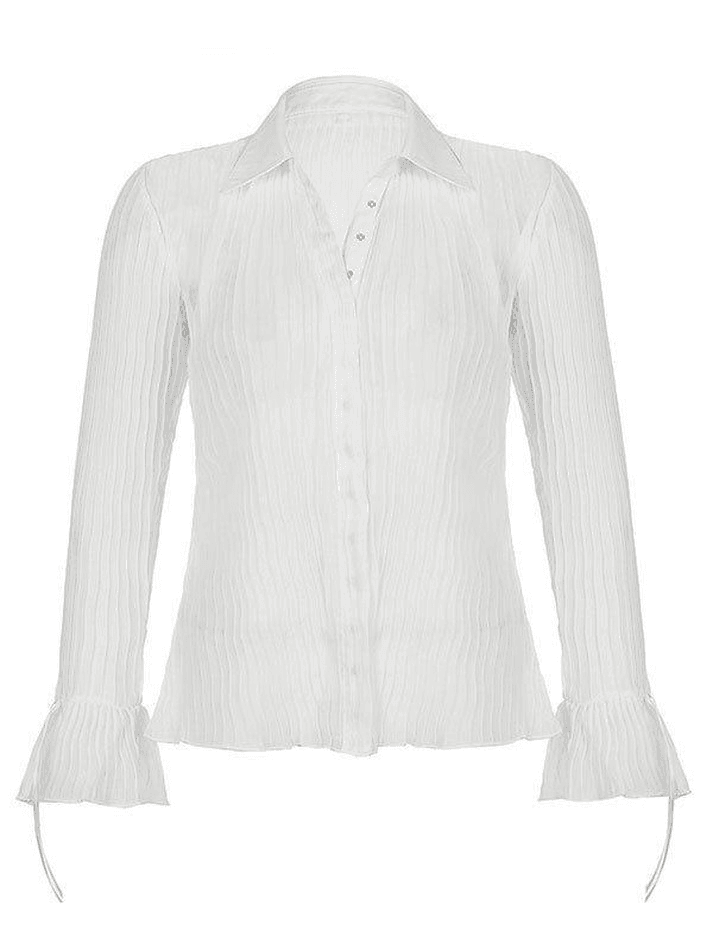 Semi Sheer Long Sleeve Pleated Blouse