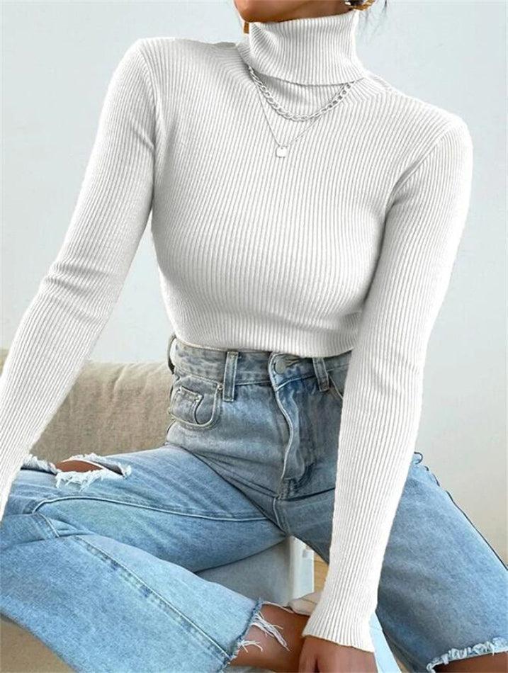 Turtleneck Ribbed Knit Sweater