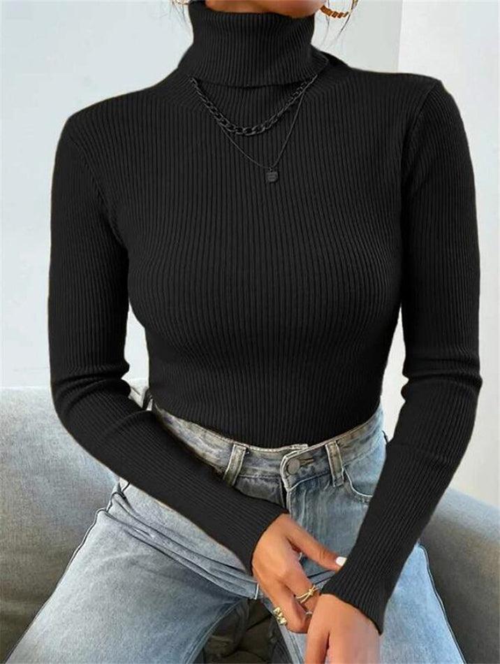 Turtleneck Ribbed Knit Sweater